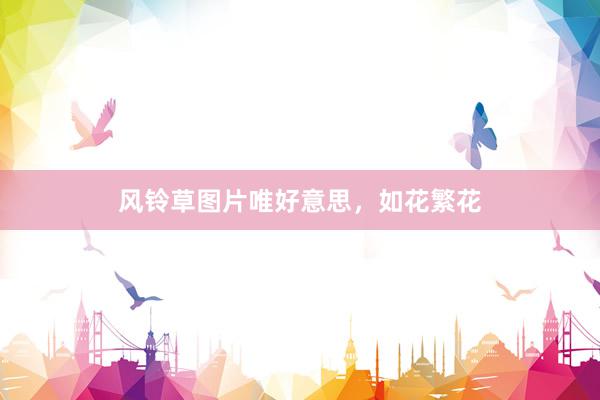 风铃草图片唯好意思，如花繁花