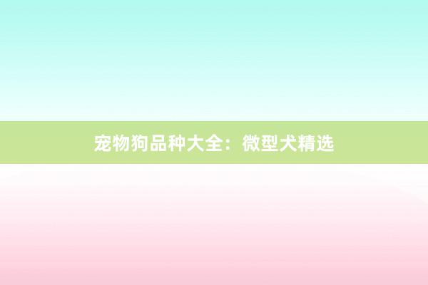 宠物狗品种大全：微型犬精选