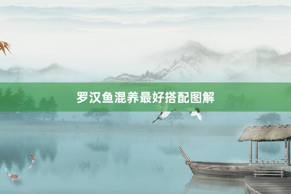 罗汉鱼混养最好搭配图解