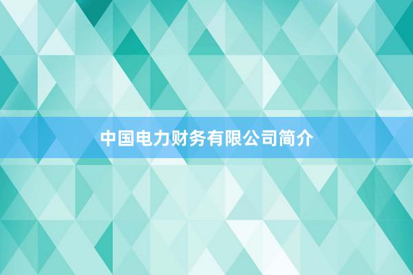 中国电力财务有限公司简介